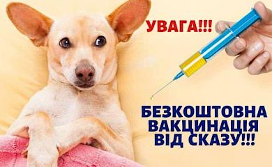 У Ржищеві вакцинуватимуть від сказу домашніх тварин
