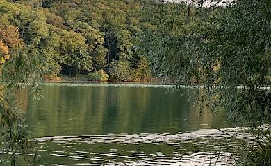 В Обуховской громаде искали мины: что произошло?