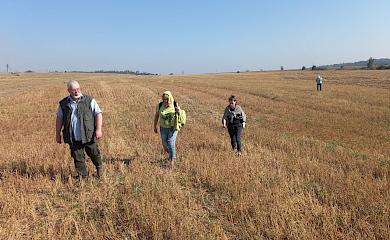 Экспедиция отыскала место возле Триполья, откуда Хвойка сделал первые зарисовки