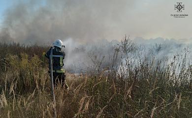 На Київщині впродовж доби рятувальники 27 разів гасили суху рослинність (фото)