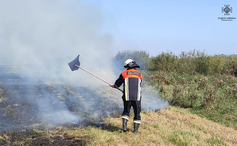 На Київщині впродовж доби рятувальники 27 разів гасили суху рослинність (фото)