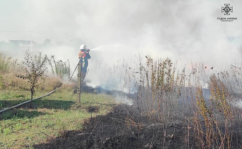 На Київщині впродовж доби рятувальники 27 разів гасили суху рослинність (фото)