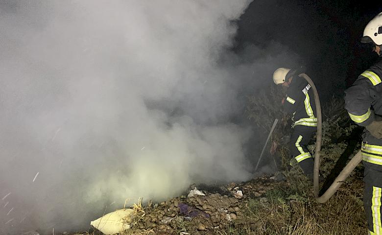 На Київщині впродовж доби рятувальники 27 разів гасили суху рослинність (фото)