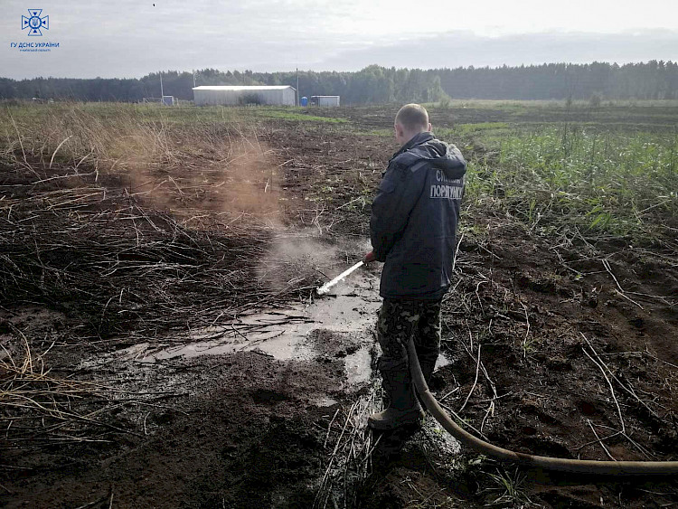 4 пожара в экосистемах за сутки произошло в Вышгородском районе (фото)