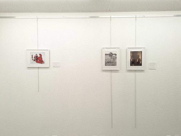 Украинский фотограф из Обуховской громады представила свою работу на международной выставке