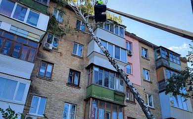 Из-за непогоды на Киевщине пострадал человек