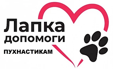 Ржищівський ЦНАП просить допомогти безпритульним тваринам