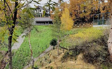 Винный туризм на Киевщине: где попробовать лучшие вина Обуховщины