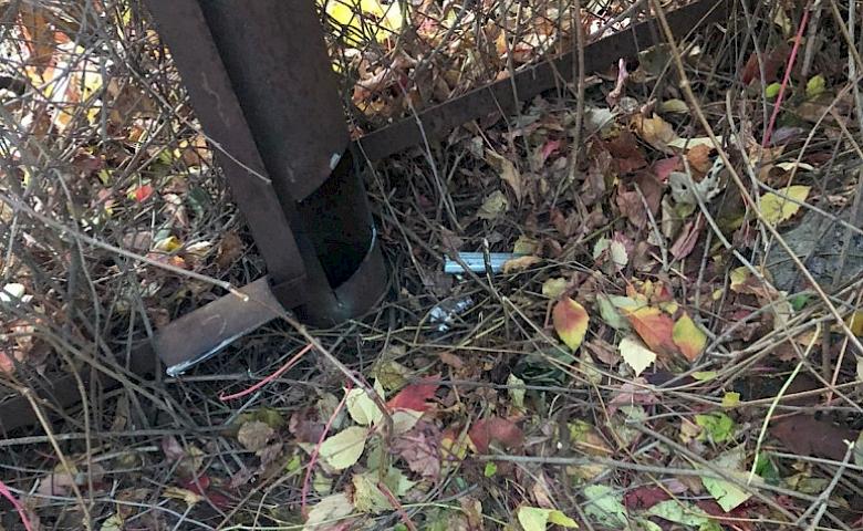 В Белой Церкви спасли котенка, который провалился в трубу забора