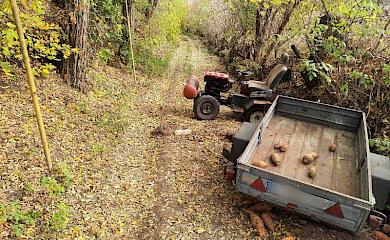 У ДТП на Обухівщині загинув чоловік