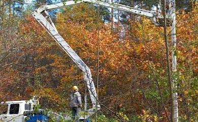 Продолжается ликвидация последствий урагана: до сих пор обесточены почти 1000 домов на Киевщине