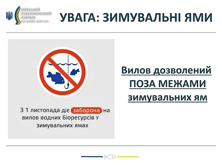 Рыбпатруль на Киевщине обнародовал суммы штрафов на вылов рыбы в зимовальных ямах: они фантастические