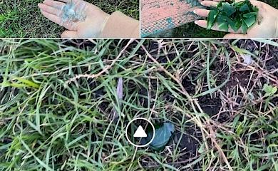 Разбитые бутылки на детской площадке и изуродованные цветы: как прошли выходные в Обухове