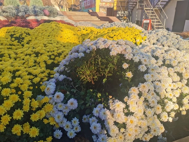 Разбитые бутылки на детской площадке и изуродованные цветы: как прошли выходные в Обухове