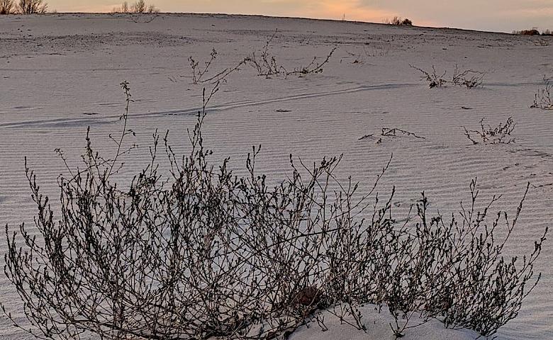 Піщані дюни біля Обухова - чудова локація для релаксу і фотосесії