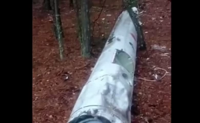 В лесу на Киевщине грибники нашли необычную находку: пришлось вызывать полицию