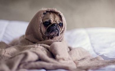 Як обухівцям підготуватись до зими: міськрада підготувала рекомендації