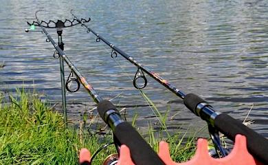 Топовые виды рыбы, которые ловятся в Киевской области в конце осени. Рецепты приготовления