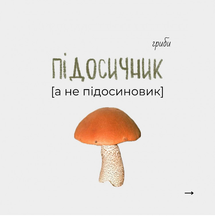 Как правильно называть на украинском языке наиболее распространенные виды грибов