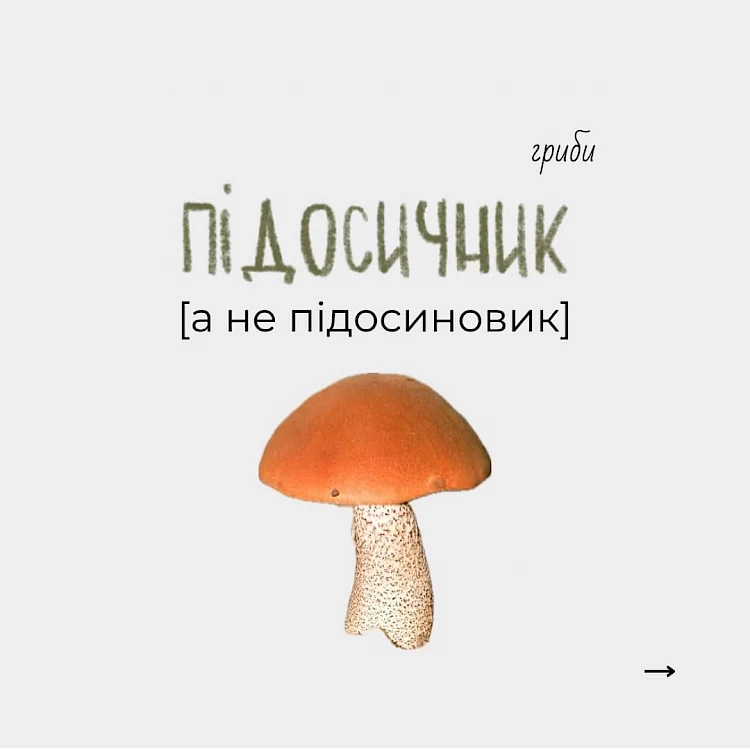 Як правильно називати українською найбільш розповсюджені види грибів