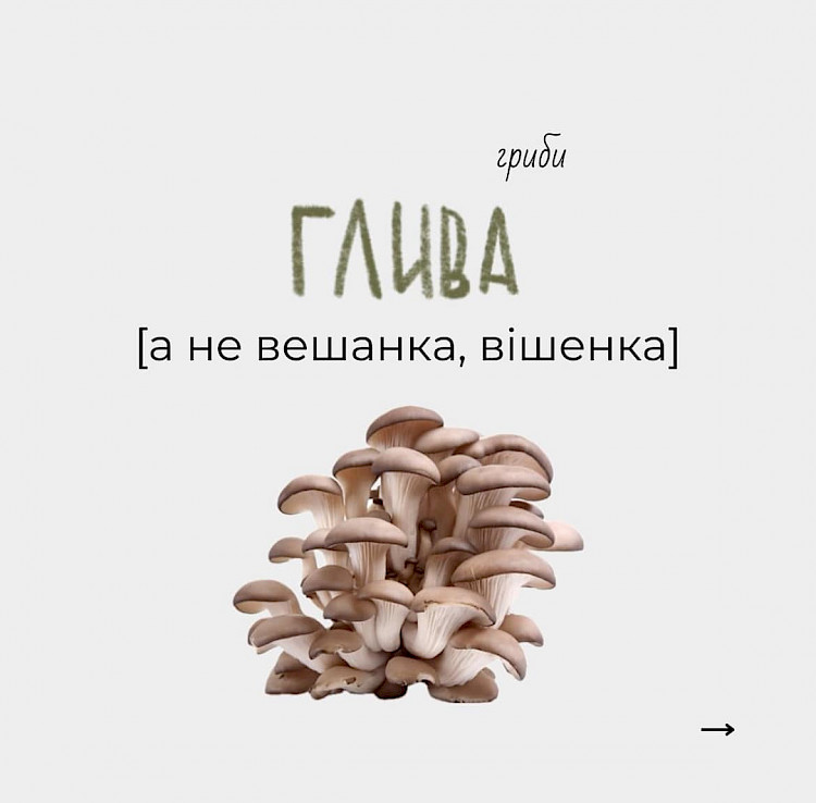 Как правильно называть на украинском языке наиболее распространенные виды грибов
