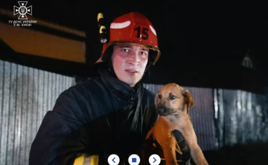 В Киеве во время ликвидации пожара спасли котенка и щенка