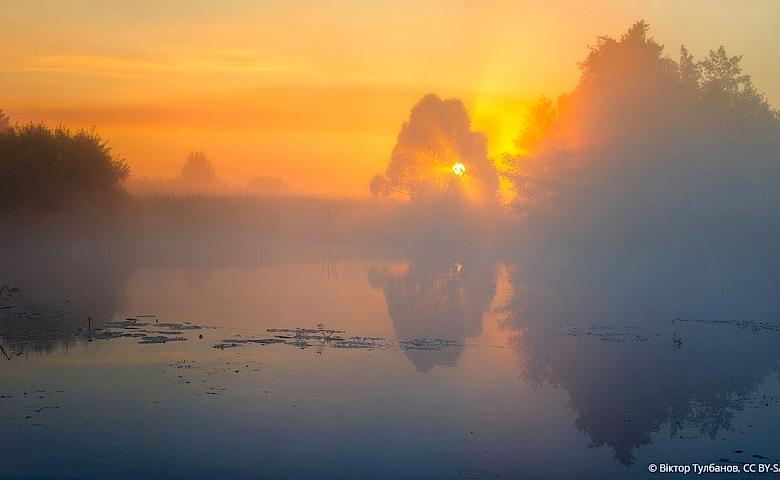 Фонд дикой природы поделился ТОП-6 фотографиями самых красивых заповедников Украины