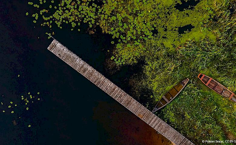 Фонд дикой природы поделился ТОП-6 фотографиями самых красивых заповедников Украины