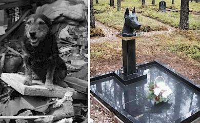 На кладбище среди могил есть одна без креста: собаки, которая спасла ребенка
