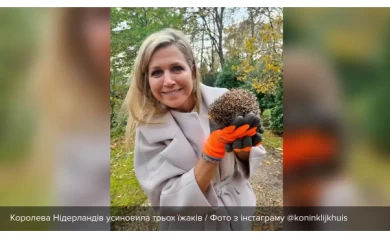 Королева усыновила трех ежей и поселила их в саду во дворце