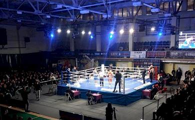 Обухівець Ельвін Алієв - чемпіон України-2023 з боксу