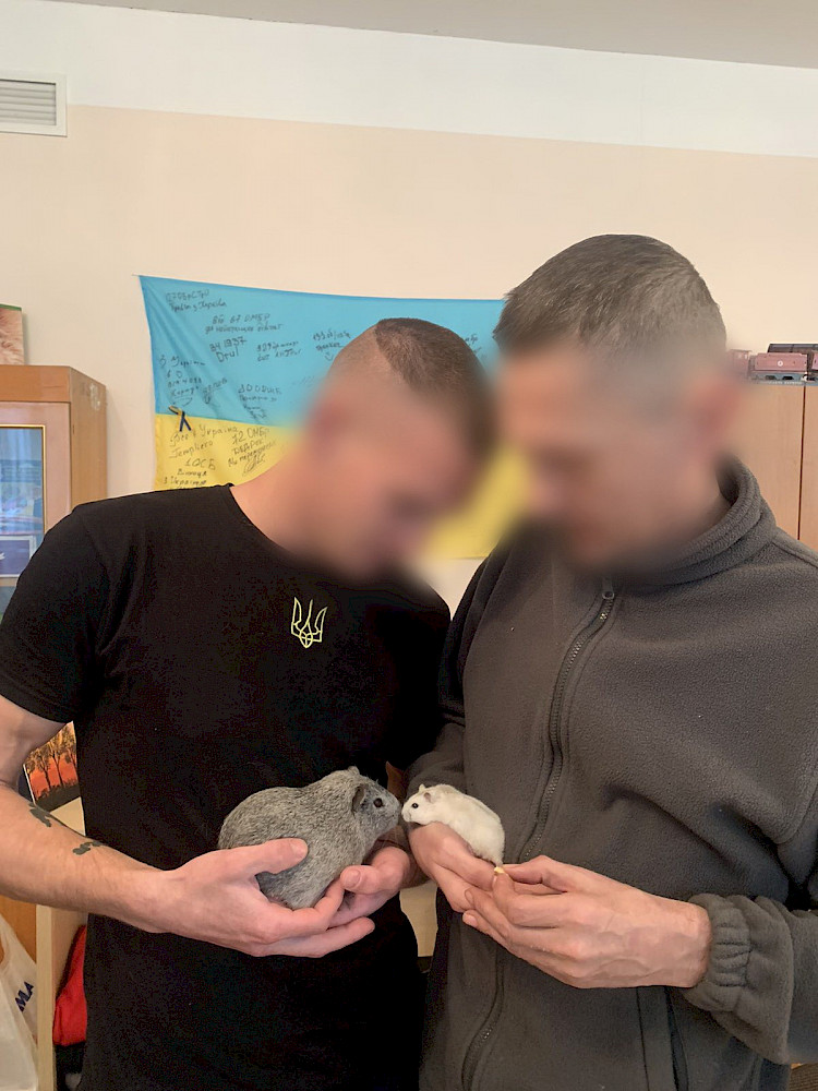 Пушистые "реабилитологи" помогают бойцам в одном из медучреждений Киева