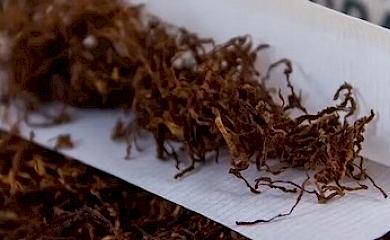 Що треба знати обираючи товари для самокруток