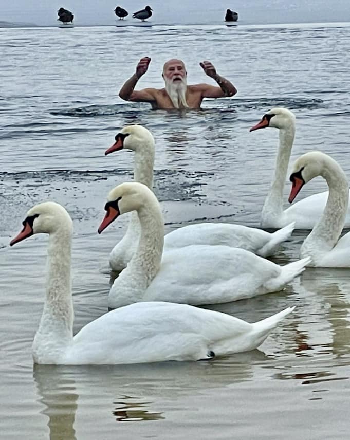 У Києві чоловік купається у крижаній воді разом з місцевими лебедями