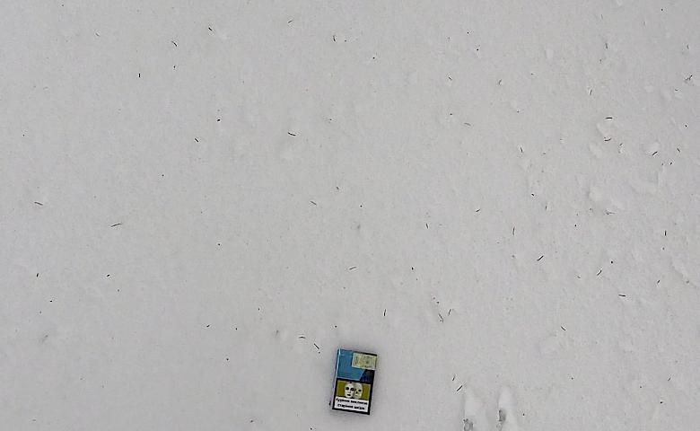 Сліди на снігу налякали туристів в Карпатах: кого вони могли зустріти