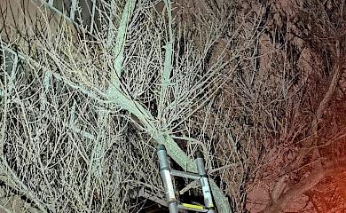 С Трипольской ТЭЦ спасли ястреба с травмой крыла