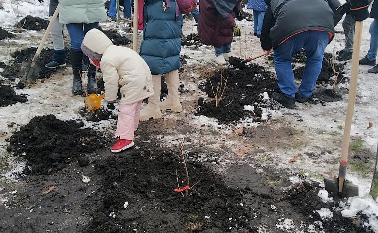 В киевском парке в память о погибших "азовцах" высадили калину