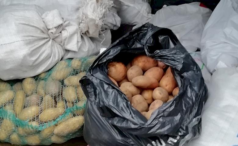 Жители Обуховской громады собрали овощи на "Борщ для ВСУ"