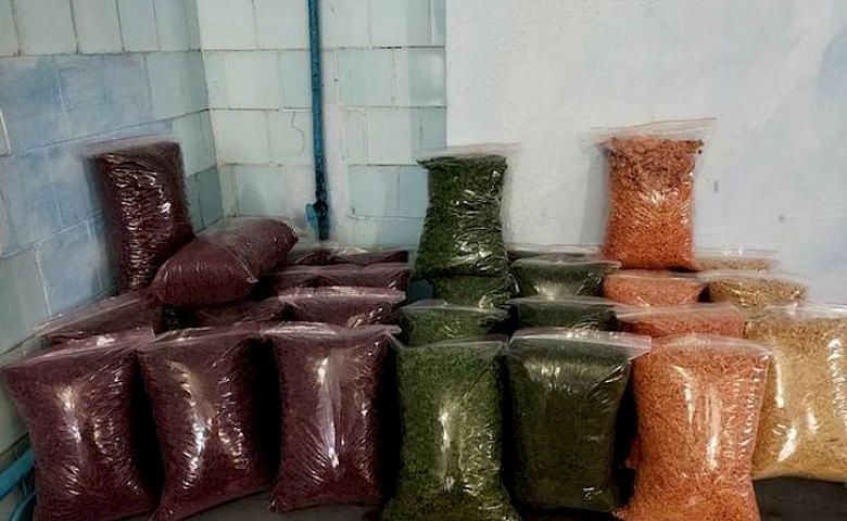 Жители Обуховской громады собрали овощи на "Борщ для ВСУ"