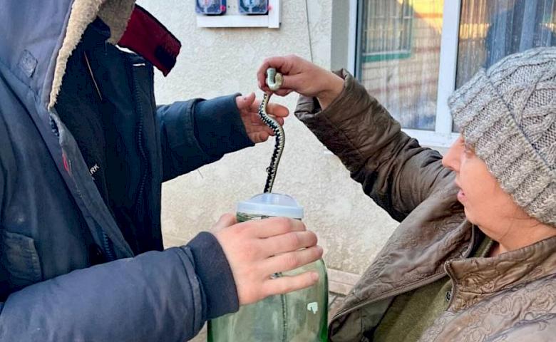 В Киевской области женщина нашла раненого ужа и забрала его домой