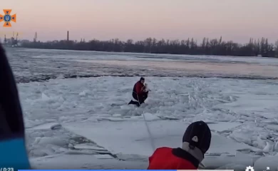 Сразу двух лебедей спасли чрезвычайники на Днепре