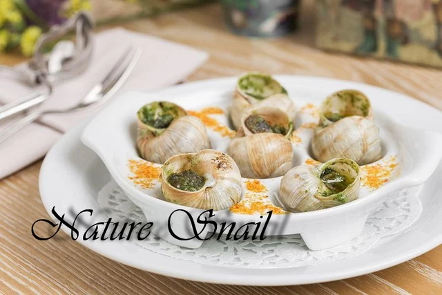 Назван ТОП гастро локаций Киевщины: несколько из них возле Обухова