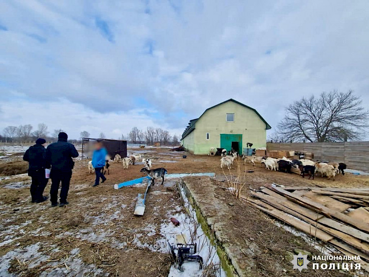 На Киевщине расследуют факты жестокого обращения с животными