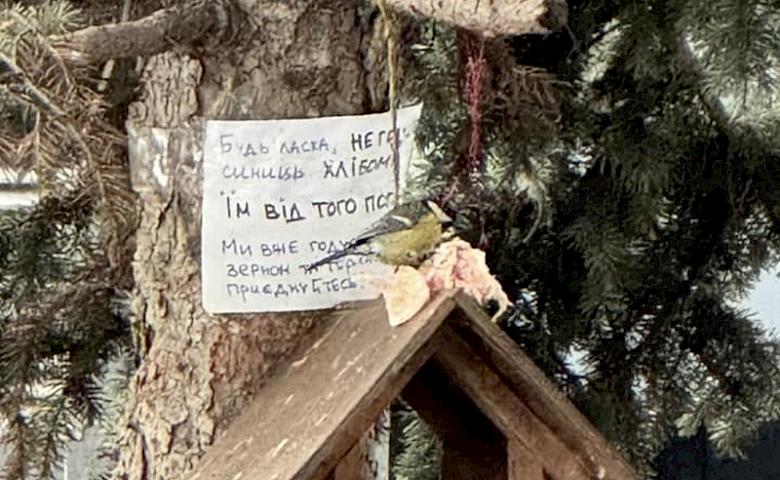 Синички смакуют вкусняшками: в соцсети дали важное предостережение