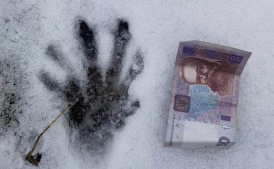 Друже бобер, ти гроші згубив: сліди на снігу