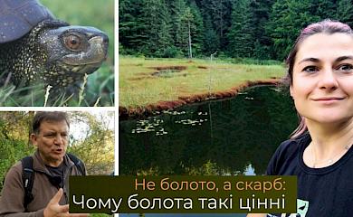 Наши предки недолюбливали и боялись болот, а зря: познавательное видео