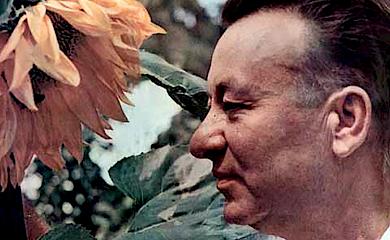 Автор фразы "Мы из Украины" родом из Обухова: так это или нет