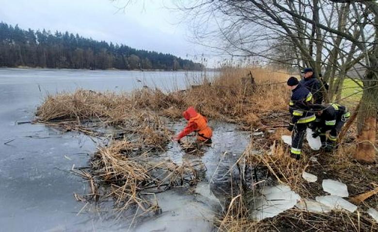 В пруду на Обуховщине нашли тело утопленника
