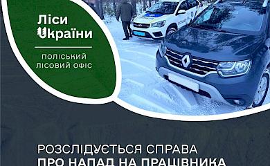 Крали ліс і напали на лісівника: побили і забрали телефон