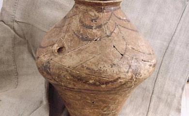 Уникальный артефакт трипольской культуры находится в Ржищевском музее